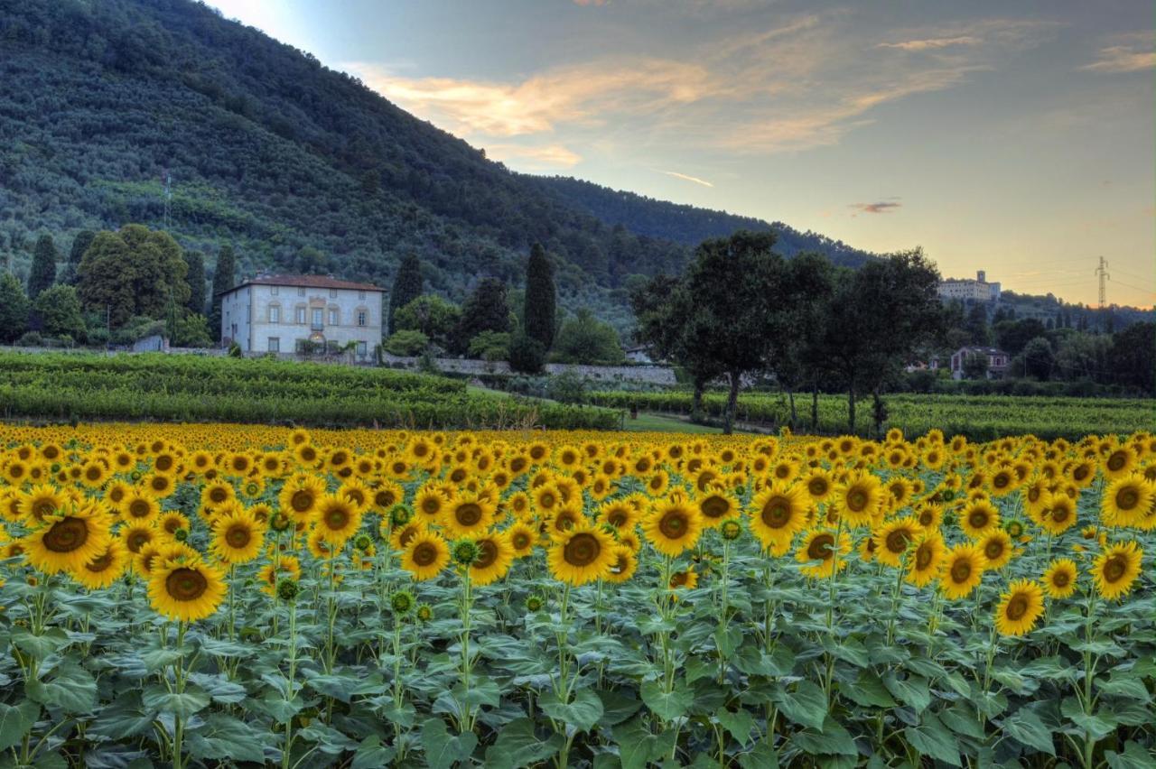 Buonvisi Alojamento de Acomodação e Pequeno-almoço Lucca