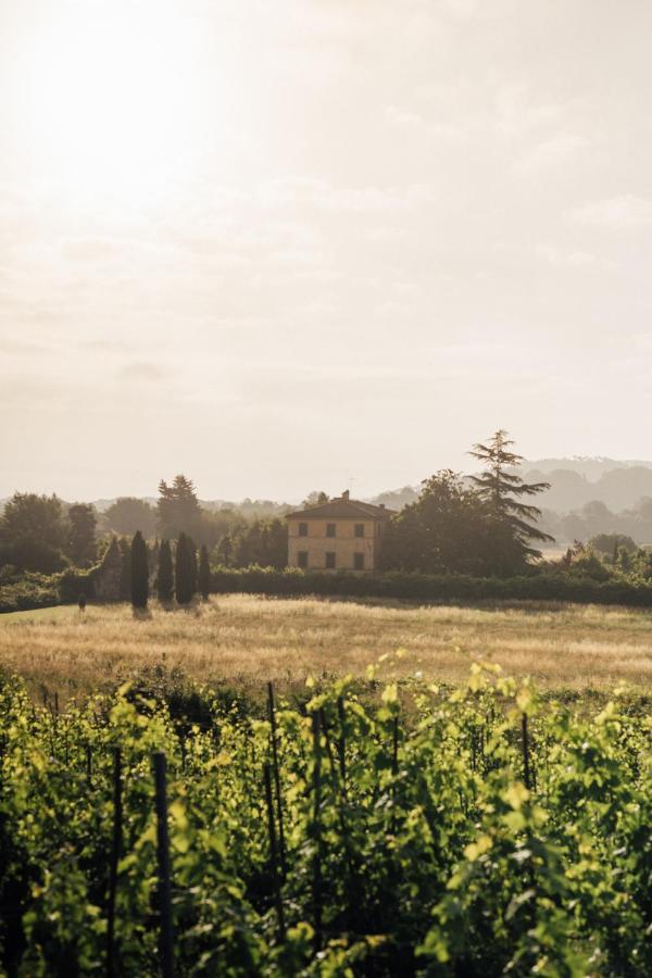 Bed & Breakfast Buonvisi