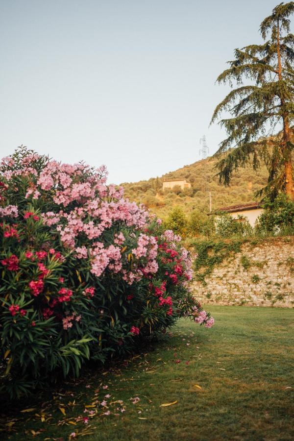 Buonvisi Lucca